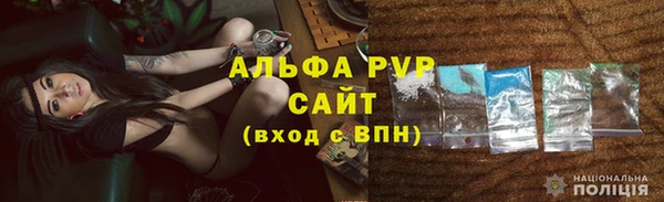 PSILOCYBIN Киренск