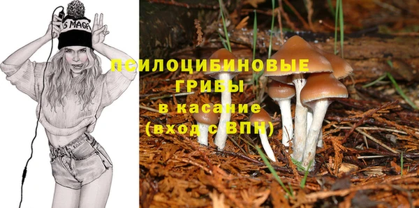 мескалин Киреевск
